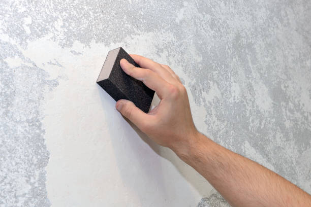 Best Airborne Mold Testing  in Hendersonville, TN