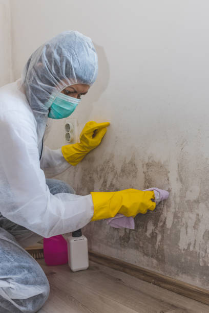 Best HVAC Mold Inspection and Cleaning  in Hendersonville, TN