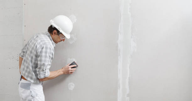 Professional Mold Removal in Hendersonville, TN